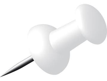 Push pins - Wit - 40 stuks, Ophalen of Verzenden, Nieuw
