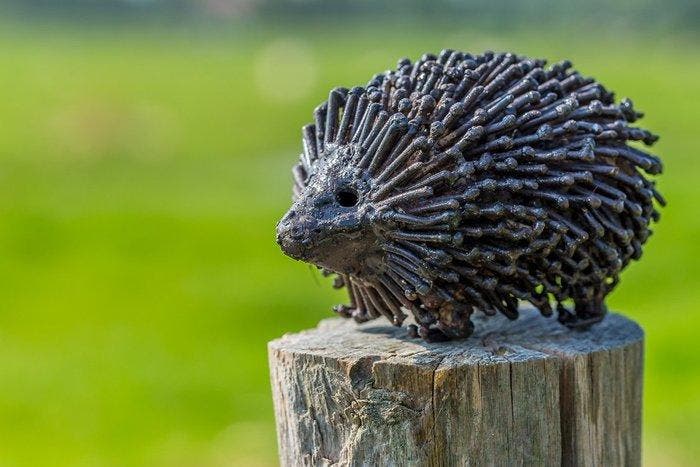 Decoratief ornament - Egel - Zimbabwe, Antiek en Kunst, Kunst | Designobjecten