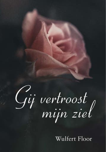 Gij vertroost mijn ziel - Wulfert Floor 9789087182335, Verzenden, Zo goed als nieuw, Wulfert Floor