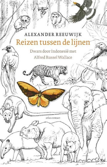 Reizen tussen de lijnen - Alexander Reeuwijk 9789045021805, Verzenden, Gelezen, Alexander Reeuwijk