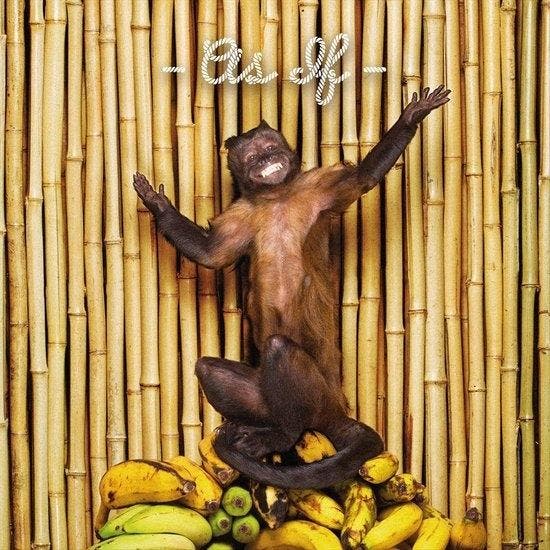 Chk Chk Chk (!!!) - As If - CD, Cd's en Dvd's, Cd's | Overige Cd's, Verzenden
