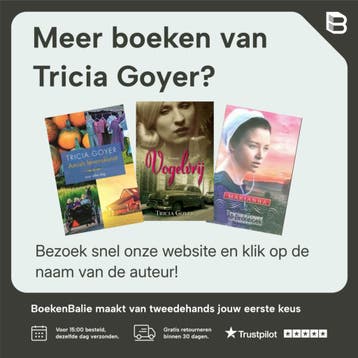 Bij het licht van de zilveren maan - Tricia Goyer, Boeken, Verzenden, Gelezen, Tricia Goyer