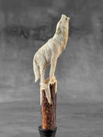 Snijwerk, NO RESERVE PRICE - A Wolf Carving from a Deer, Antiek en Kunst