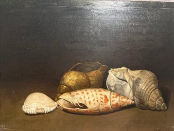 Dutch school (XX), monogrammed A.J. - Schelpenstilleven