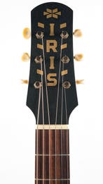 Iris MS00 Dark Burst Satin (Instrument,Acoustic Guitars), Ophalen of Verzenden, Nieuw, Western- of Steelstringgitaar