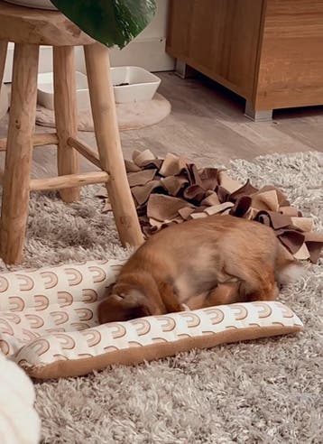 Bunny Snuggle Hop en Flop bed voor konijn NIEUW HANDGEMAAKT, Ophalen of Verzenden, Nieuw, Verzorging