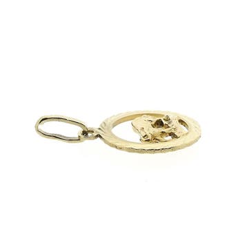 Gouden sterrenbeeld hanger; Steenbok (Hanger of bedel), Sieraden, Tassen en Uiterlijk, Bedels, Ophalen of Verzenden, Gebruikt