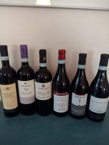 2022 Patrizi, 2022 Mauro Sebaste, 2019 Rabaglio, 2022 Carlo, Nieuw
