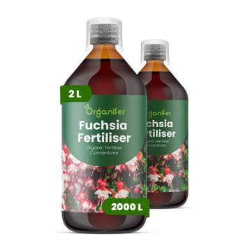 Fuchsia vloeibare meststof - Set 2x1 liter, Verzenden, Mest