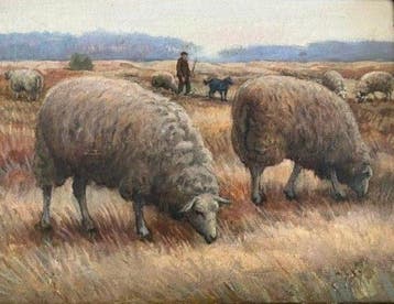 Hollandse School (XX) - Schaapjes op heide met herder
