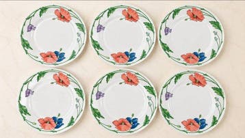 Villeroy & Boch - AMAPOLA - Tafelservies voor 6 (6) -