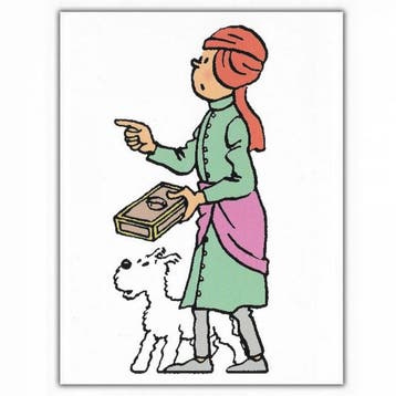 Kuifje Fakir Postkaart, Verzamelen, Stripfiguren, Ophalen of Verzenden, Nieuw
