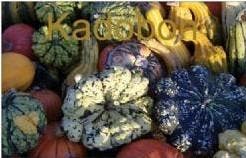 Cadeaubon Kadobon 35 euro, Ophalen of Verzenden, Nieuw
