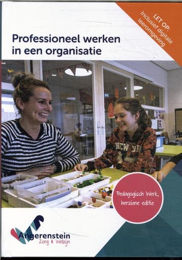 Professioneel werken in een organisatie 9789037264340, Boeken, Zo goed als nieuw