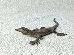 Pierre Chenet (XX-XXI) - sculptuur, Le Lézard - 7.5 cm -
