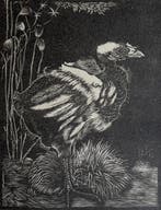 Jan Mankes (1889-1920) - Nestkuiken, Antiek en Kunst