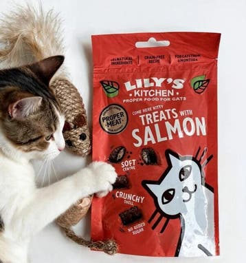 Katten cadeau en snack pakket zalm en muisjes, Dieren en Toebehoren, Ophalen of Verzenden, Nieuw