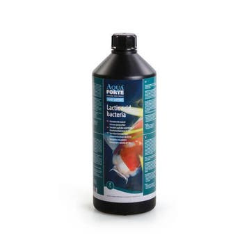 AquaForte Melkzuurbacteriën - 1 liter, Tuin en Terras, Vijvers, Verzenden, Nieuw