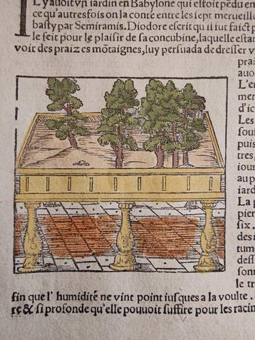Sebastian Münster (1489–1552) - Cosmographie Universelle -