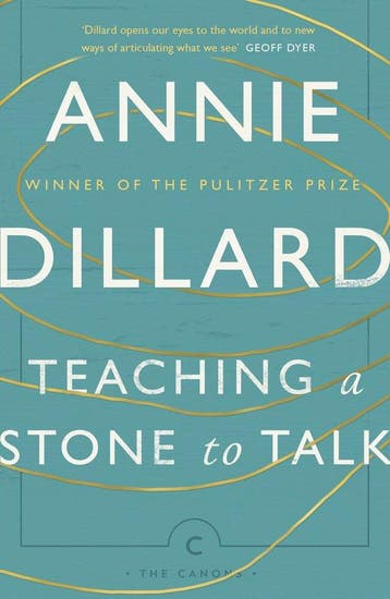 9781782118855 Teaching a Stone to Talk Annie Dillard, Verzenden, Nieuw, Annie Dillard