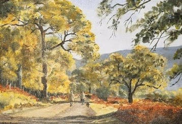 Ellis Forde - Promenade en forêt
