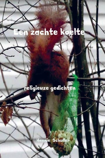 Een Zachte Koelte | Hannie Schuller | Nieuw, Boeken, Ophalen of Verzenden, Nieuw, Hannie Schuller