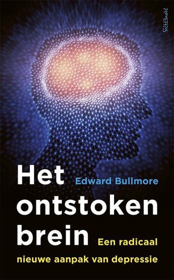 Het ontstoken brein - Edward Bullmore 9789044638851, Boeken, Verzenden, Zo goed als nieuw, Edward Bullmore