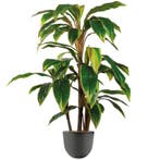Cordyline kunstplant, H110cm, Ophalen of Verzenden, Overige soorten, 100 tot 150 cm