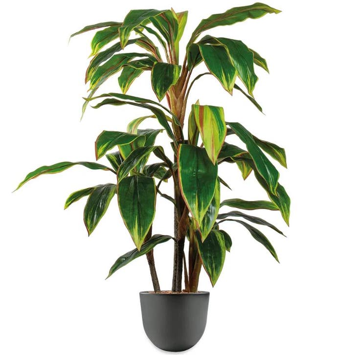Cordyline kunstplant, H110cm, Huis en Inrichting, Kamerplanten, Overige soorten, 100 tot 150 cm, Ophalen of Verzenden