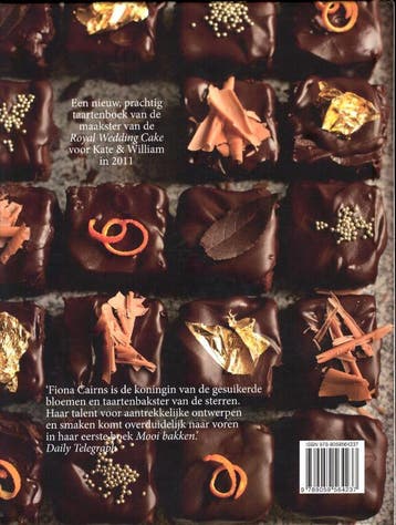 Het verjaardagstaartenboek - Fiona Cairns 9789059564237, Verzenden, Zo goed als nieuw, Fiona Cairns