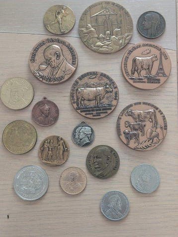 Frankrijk. Lot de 17 médailles variées (Zonder minimumprijs)