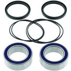 QuadBoss 85-86 Honda ATC250R Rear Carrier Bearing Upgrade, Ophalen of Verzenden, Nieuw