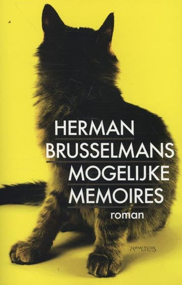Mogelijke memoires - Herman Brusselmans 9789044622638, Verzenden, Gelezen, Herman Brusselmans