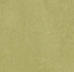 Forbo Marmoleum Fresco 3265 avocado, Verzenden, Nieuw