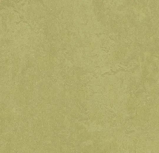 Forbo Marmoleum Fresco 3265 avocado, Huis en Inrichting, Stoffering | Vloerbedekking, Verzenden