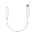 Lightning Naar mini jack adapter - Universeel, Ophalen of Verzenden, Nieuw, Snoer of kabel, Apple iPhone