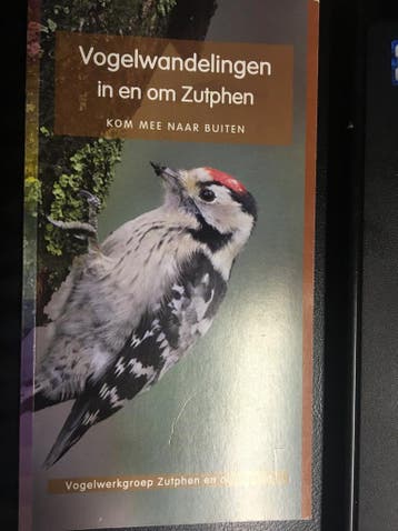 Vogelwandelingen in en om Zutphen - Michel Klemann, Verzenden, Gelezen, Michel Klemann