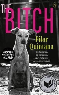 Quintana, P: Bitch - Pilar Quintana 9781642860597, Verzenden, Zo goed als nieuw, Pilar Quintana