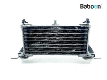 Oliekoeler BMW S 1000 RR 2010-2011 (S1000RR 10 K46), Verzenden, Gebruikt