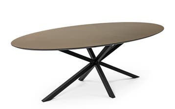 Tafel 230X120 cm, Huis en Inrichting, Tafels | Eettafels, Ophalen, 200 cm of meer, Zo goed als nieuw, Vijf personen of meer