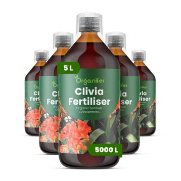 Clivia Vloeibare meststof - 5x1 liter, Verzenden, Mest