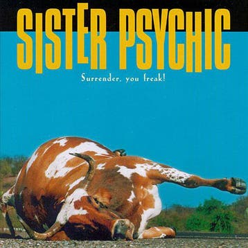 cd - Sister Psychic - Surrender, You Freak, Verzenden, Zo goed als nieuw