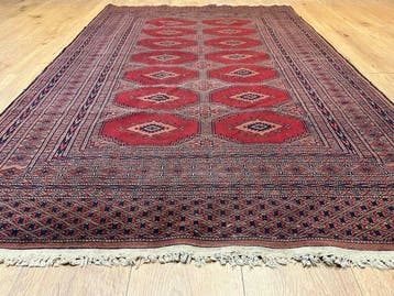 Handgeknoopte Pakistan Buchara Oriënttapijt met klassiek, Nieuw