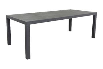 VDG President tuintafel 220 x 100 cm., Verzenden, Nieuw, Rond, Overige materialen