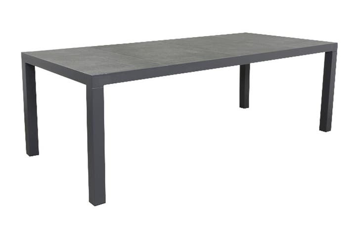 VDG President tuintafel 220 x 100 cm., Tuin en Terras, Tuintafels, Nieuw, Overige materialen, Rond, Verzenden