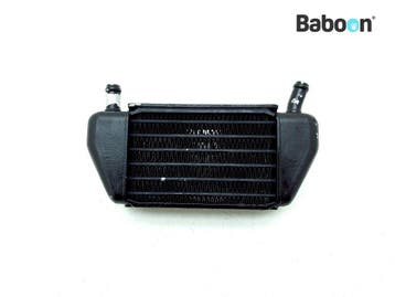 Oliekoeler BMW R 850 R 1994-2001 (R850R 94) (76243070), Verzenden, Gebruikt