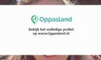 Jill zoekt een oppas in Uden voor 2 kinderen.