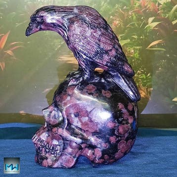 Kraaiesculptuur op een menselijke schedel, met de hand