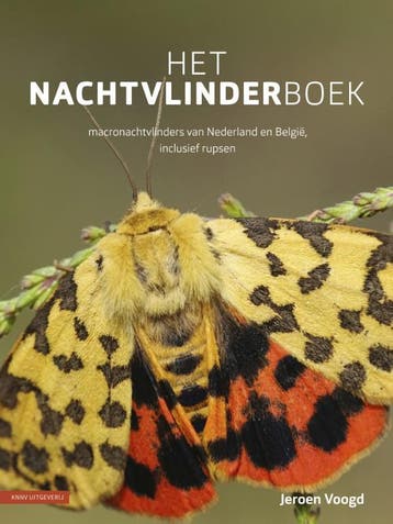 Het Nachtvlinderboek | Jeroen Voogd | Nieuw, Boeken, Ophalen of Verzenden, Nieuw, Jeroen Voogd