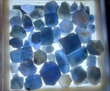 101,3 ct - Onbehandelde blauwe saffier - Ruw- 20.26 g, Verzamelen